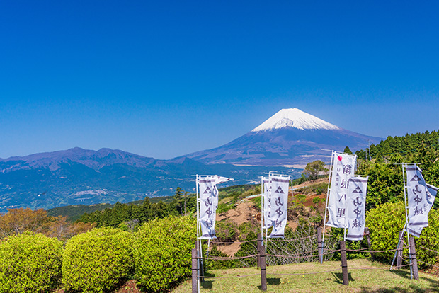 山中城