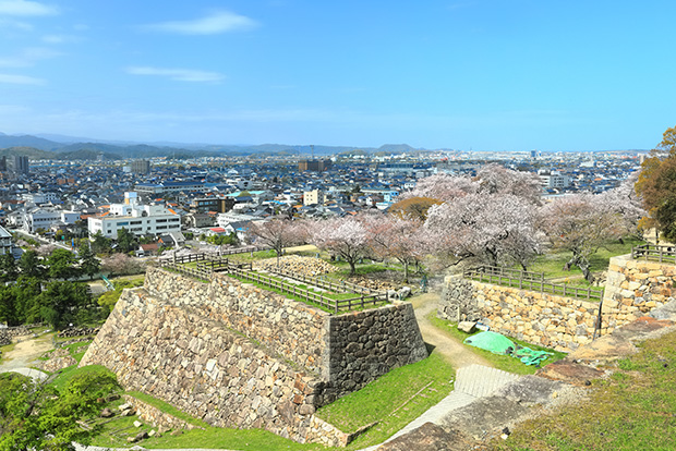 鳥取城